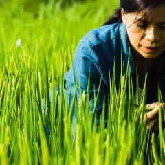 Wawa No Cidal Taiwanese Movie photo