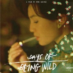 Days of Being Wild Hong Kong Movie photo