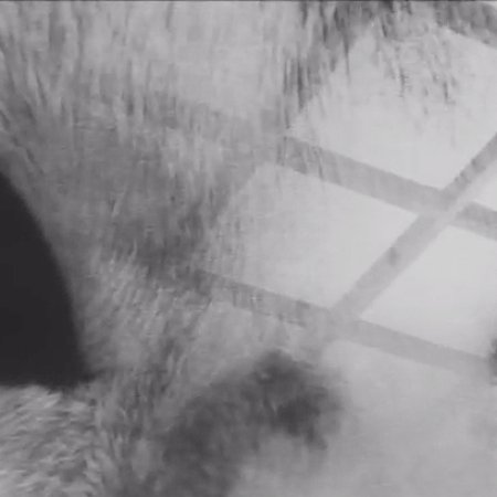 Bakeneko: A Vengeful Spirit (1968)