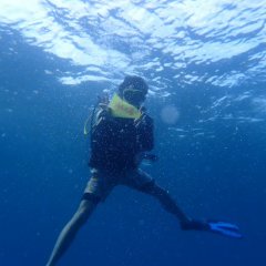 Ride Now: Vanuatu Chinese TV Program photo