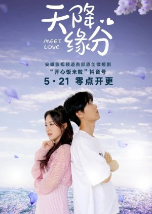 Meet Love (2024) poster