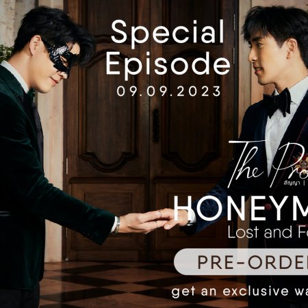 The Promise: Honeymoon Lost and Found ()