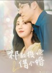 Professor Qi Borrowed a Marriage chinese drama review