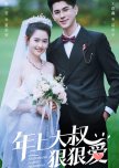 Nian Shang Da Shu Hen Hen Ai chinese drama review