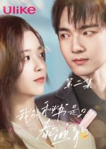 Wo De Mi Shu Shi Tai Di Gou Chinese Drama photo