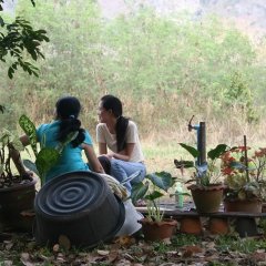 Syndromes and a Century Thai Movie photo