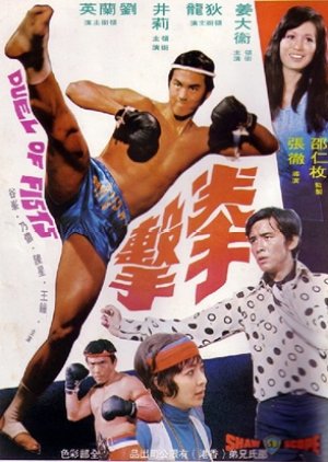 Duel of Fists (1971) poster