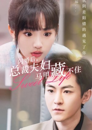 Shan Hun Hou, Zong Cai Fu Fu Ma Jia Cang Bu Zhu (2024) poster