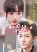Shan Hun Hou, Zong Cai Fu Fu Ma Jia Cang Bu Zhu Chinese Drama photo