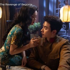 A Vingança de Begônia Chinese Drama(2024) photo