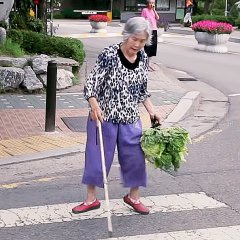 My Mother Korean Movie(2013) photo