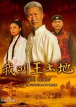 The Loop Chinese Drama(2012) photo