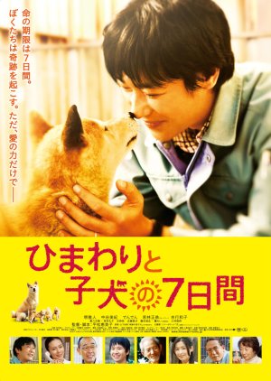 7 Days of Himawari & Her Puppies (2013) poster