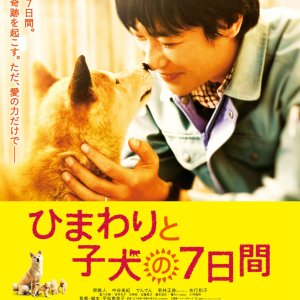 7 Days of Himawari & Her Puppies (2013)