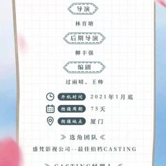 Ai Ni Bu Fang Jia Chinese Drama photo