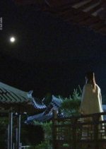 Drama Special Season 2: Hwapyeong Princess's Weight Loss Korean Drama photo