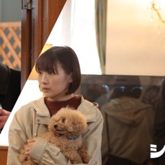 Legal Enforcement with Dogs Japanese Drama photo