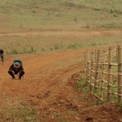 Our Skyy 2: Bad Buddy (2023) photo