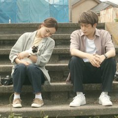 The Cat Escaped Japanese Movie photo