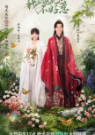 I Have a Smart Doctor Wife Season 3 chinese drama review