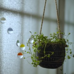 Camera, Hajimete mo Ii desu ka? Japanese Drama photo