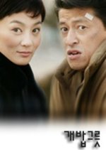 Dog Bowl Korean Drama photo