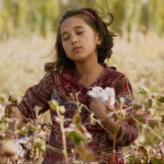 A First Farewell Chinese Movie photo