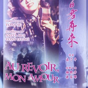 Au Revoir, Mon Amour (1991)