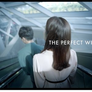 The Perfect Wife (2019)