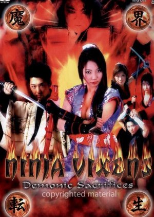 Ninja Vixens: Demonic Sacrifices (2007) poster
