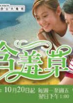 Mimosa Taiwanese Drama photo