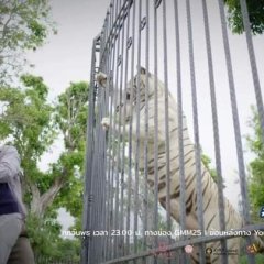 Unforgotten Night Thai Drama photo