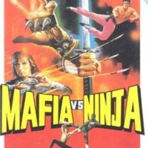 Secret of Ninja (1985)