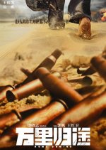 Home Coming Chinese Movie(2022) photo