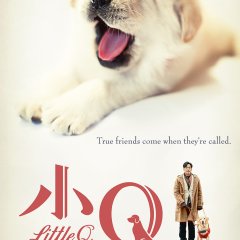 Little Q Hong Kong Movie photo