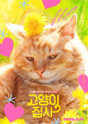 Our Cat (2020) poster