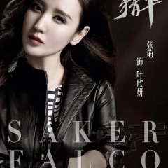Saker Falco Chinese Drama photo