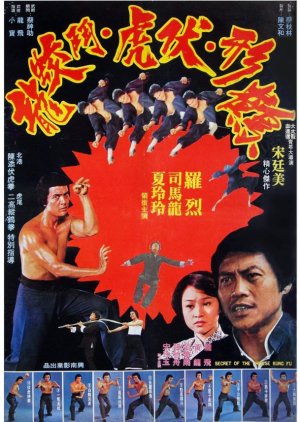 Secret of Chinese Kung Fu (1977) poster