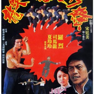 Secret of Chinese Kung Fu (1977)