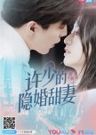 Hidden Sweet Wife chinese drama review