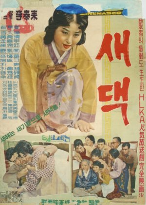 Saedaek (1965) poster