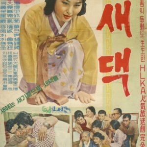 Saedaek (1965)