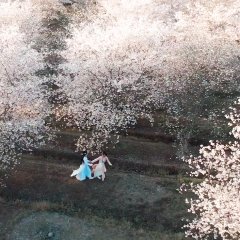 Help, I Accidentally Stole My Shixiong's Crush! Chinese Movie photo