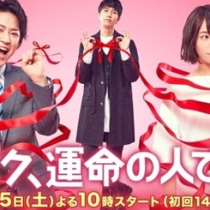 Kamisama no Boto  (2013)