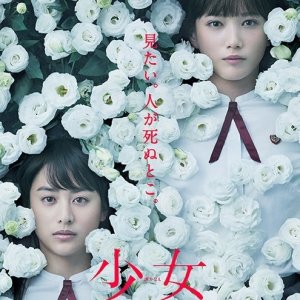 Kamisama no Boto  (2013)