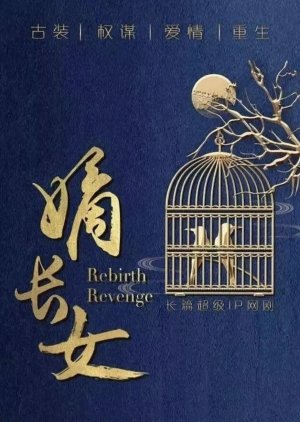 Rebirth Revenge () poster