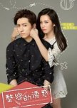 Temptation of Plastic Surgery chinese drama review