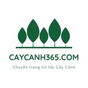 caycanh365