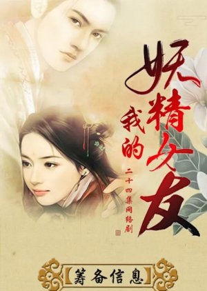 Wo De Yao Jing Nu You () poster