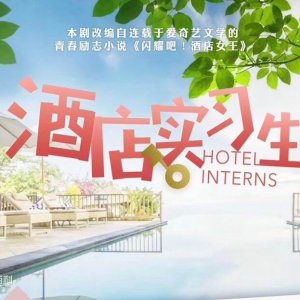 Hotel Interns (2020)